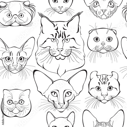 Fototapeta Naklejka Na Ścianę i Meble -  Seamless pattern with cats of different breeds. Hand-drawn vector illustration on white. Animal art background. Black and white. Outline.