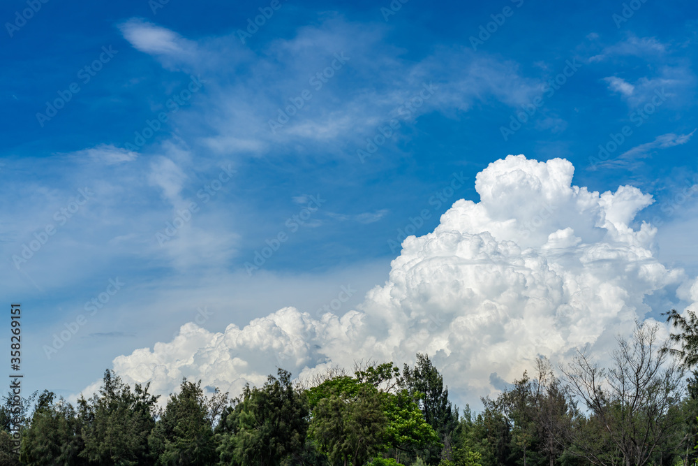 Fototapeta premium Vast white cumulus clouds with blue sky background