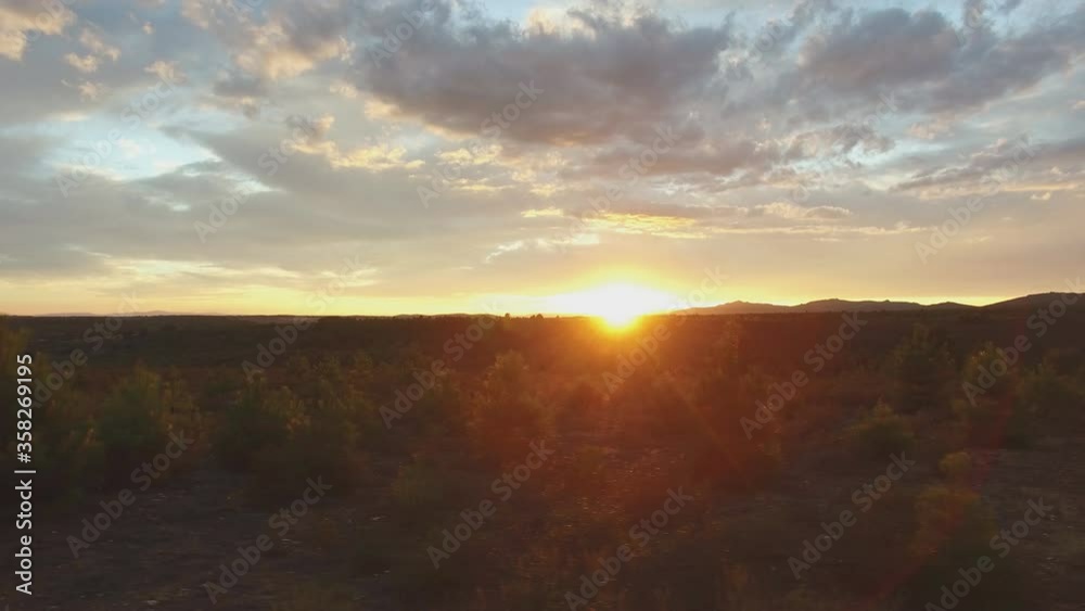 Cloudy sunset over pine trees, sliding camera Cloudy sunset over pine trees, sliding camera