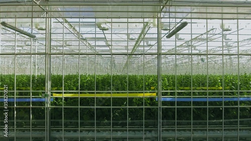 Wallpaper Mural Farm equipment inside Industrial large Greenhouse Torontodigital.ca