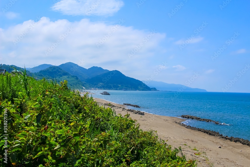 Japanese landscape,  Sea of Japan shot from Itoigawa in Niigata prefecture. Plants in the foreground and mountains in the background