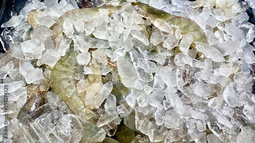 Sea Food