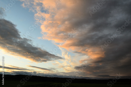 sunset in the field in summer