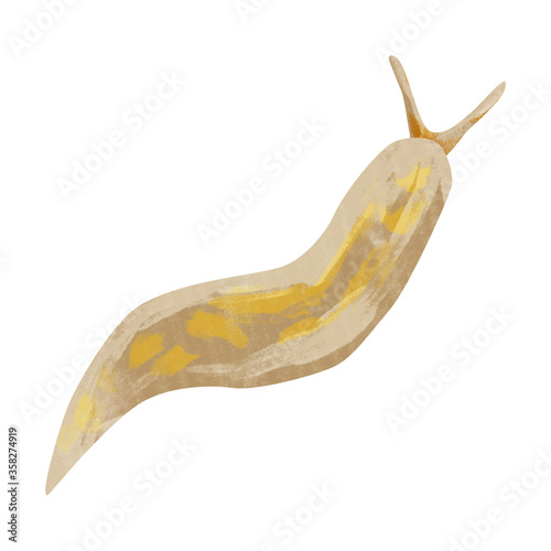 ナメクジの水彩手描きイラスト