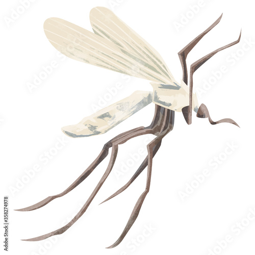 蚊の水彩手描きイラスト