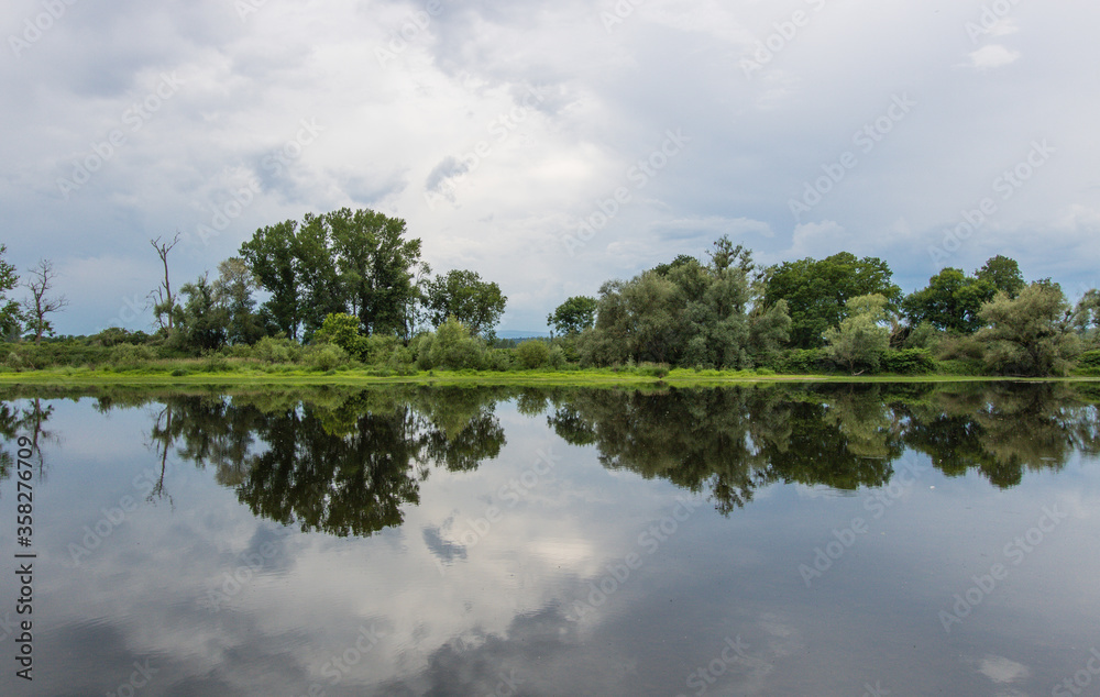 Fototapeta premium reflet d'arbres et d'arbustes sur la Loire