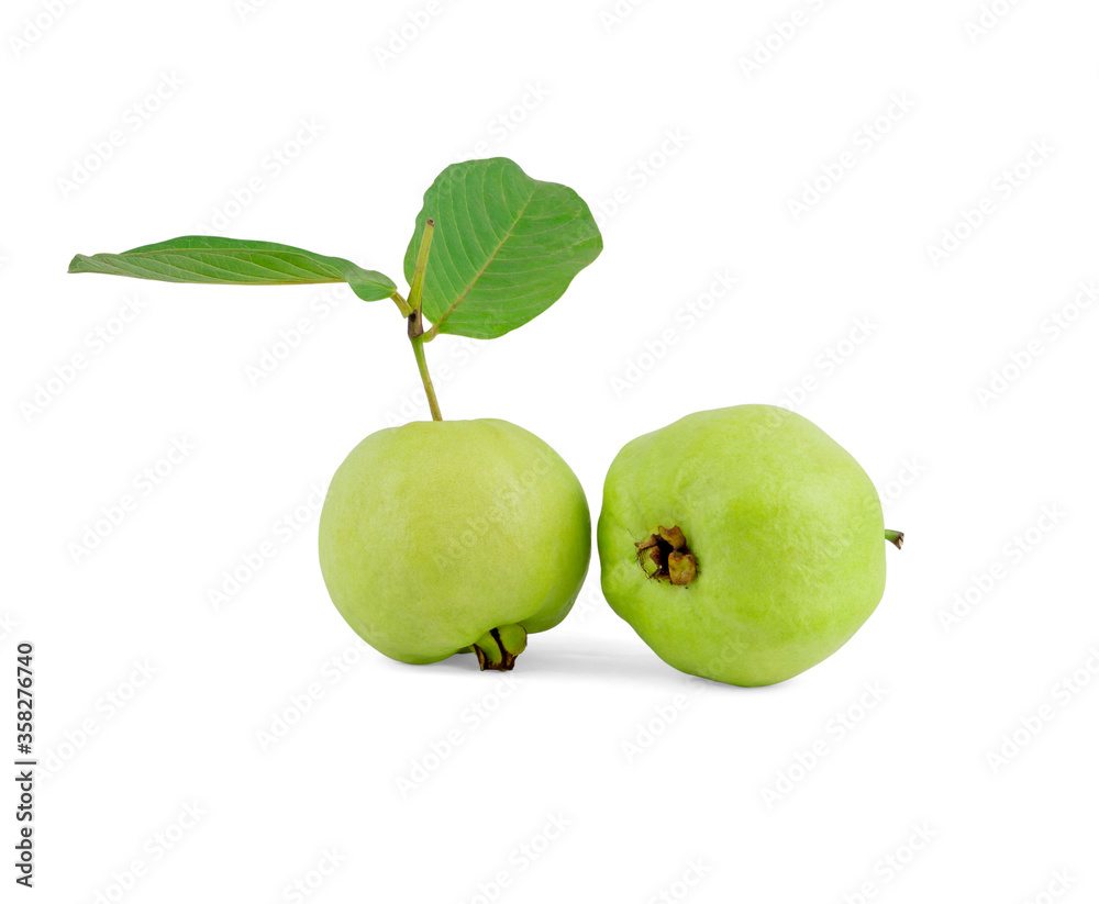 Green guava fruit and two green leaves isolated on white clipping path Green guava fruit and two green leaves isolated on white clipping path