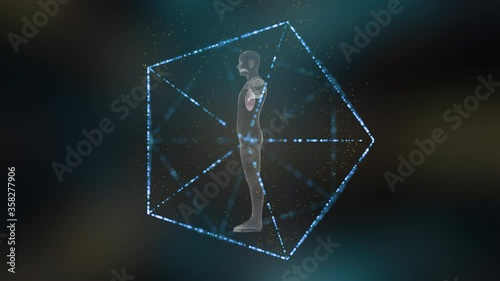 Immune system defends the body against infections and diseases.