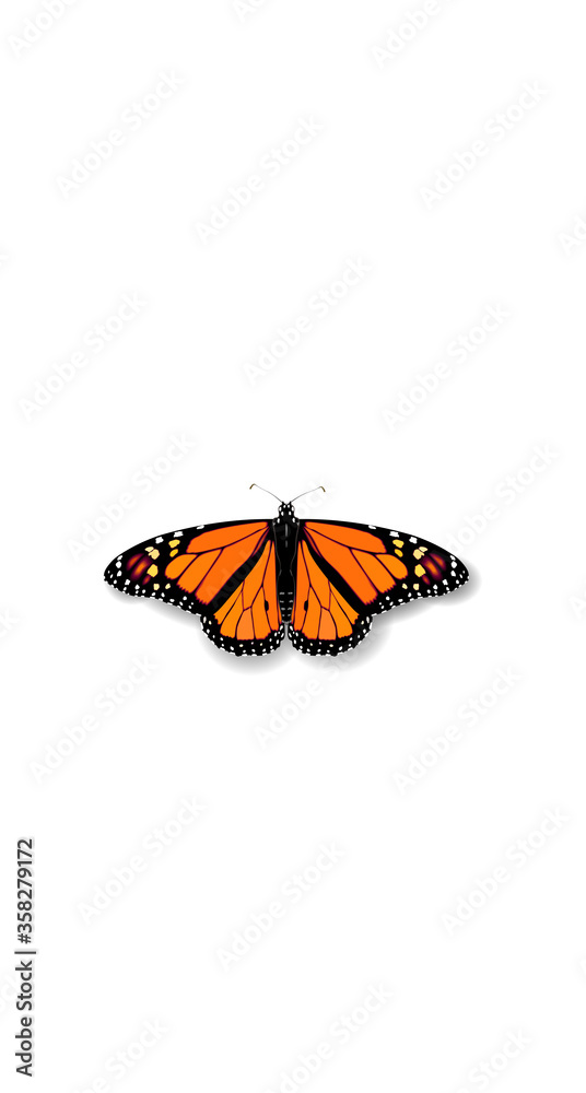 Obraz premium 3D realistic Monarch Danaida butterfly social media cover. Highlights stories isolated white background template. Summer travel theme concept vector illustration