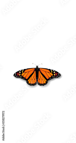 3D realistic Monarch Danaida butterfly social media cover. Highlights stories isolated white background template. Summer travel theme concept vector illustration