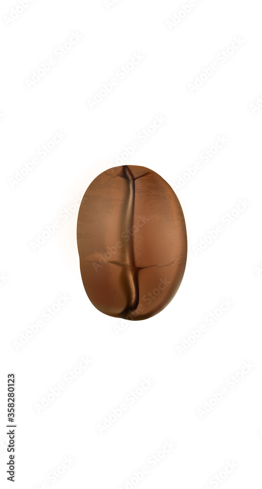 3D realistic coffee bean social media cover. Highlights stories isolated white background template. Cafe barista coffee drink store concept vector illustration 3D realistic coffee bean social media cover. Highlights stories isolated white background template. Cafe barista coffee drink store concept vector illustration