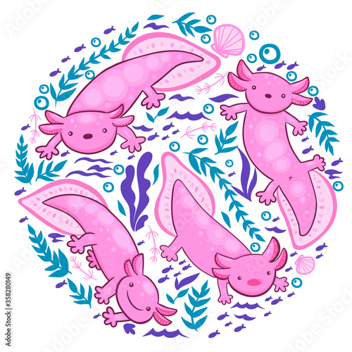 A collection of axolotl and underwater elements on a white background. Vector graphics