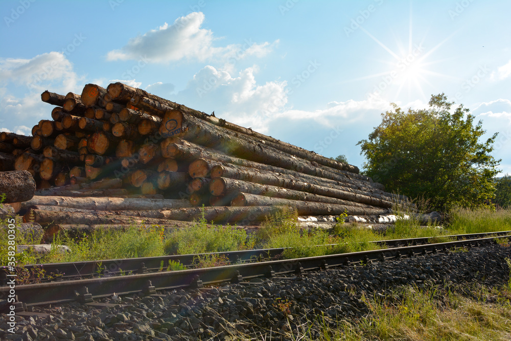 Logs in a sawmill - storage of timber on railroad tracks with sun