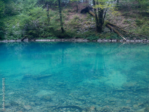 blue river in forest