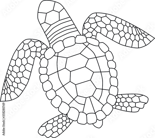 Vector black and white linear turtle, coloring page or emblem, isolated on white background