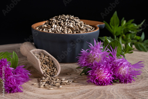 Milk thistle (Silybum marianum) seeds and flowers on a wooden background. Medical plants. Alternative medicine.