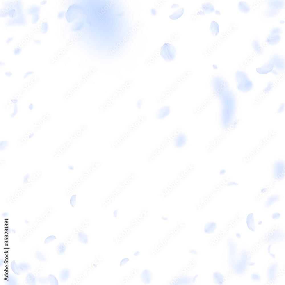 Light blue flower petals falling down. Creative ro Light blue flower petals falling down. Creative ro