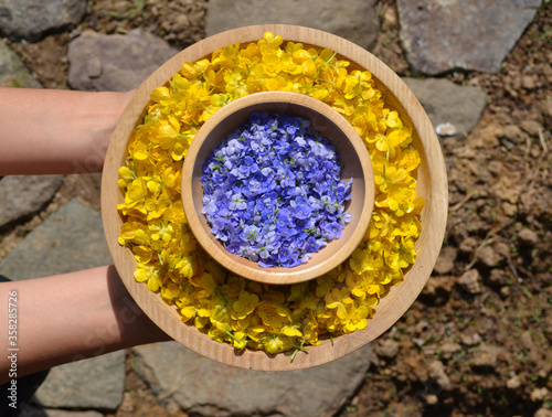 Woman hands hold wooden bowls with yellow and blue flowers