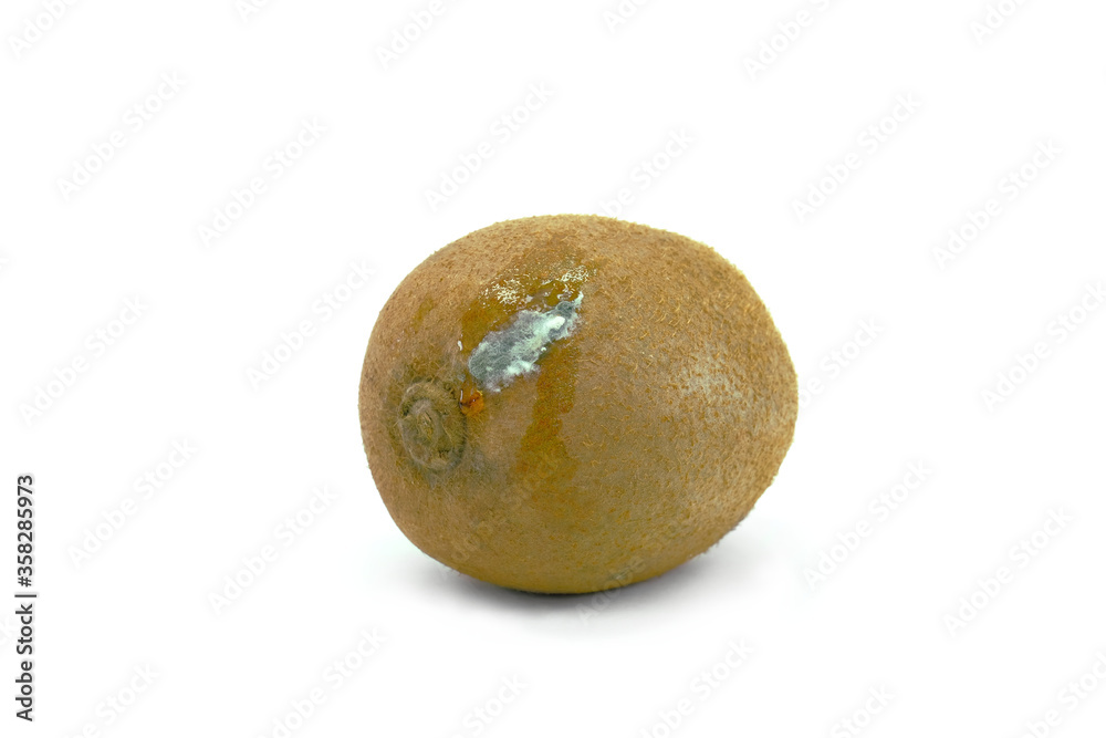 Fototapeta premium Spoiled Kiwi on the white background. Crumpled dried kiwi with Fungus with molds. Improper storage of fruit.