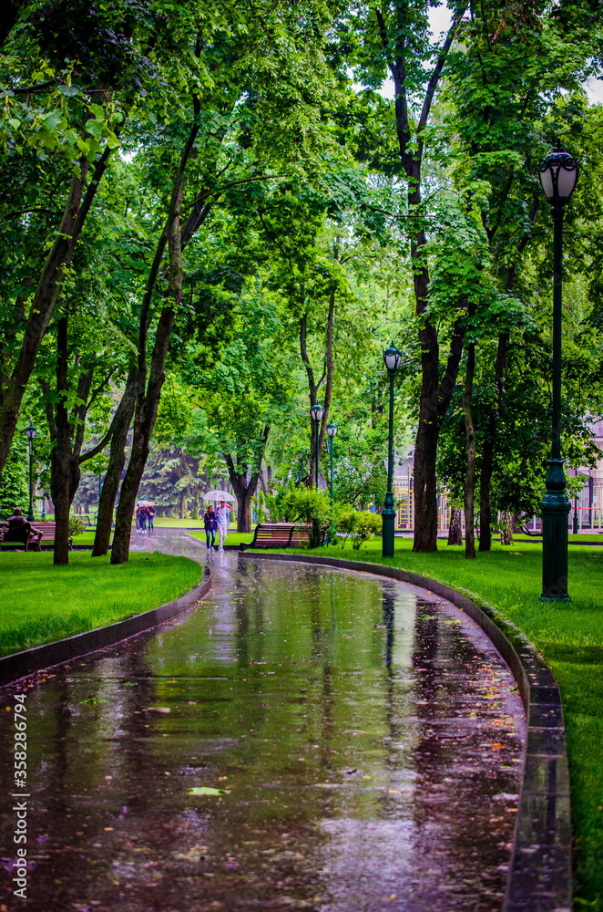 Summer rain in a green park