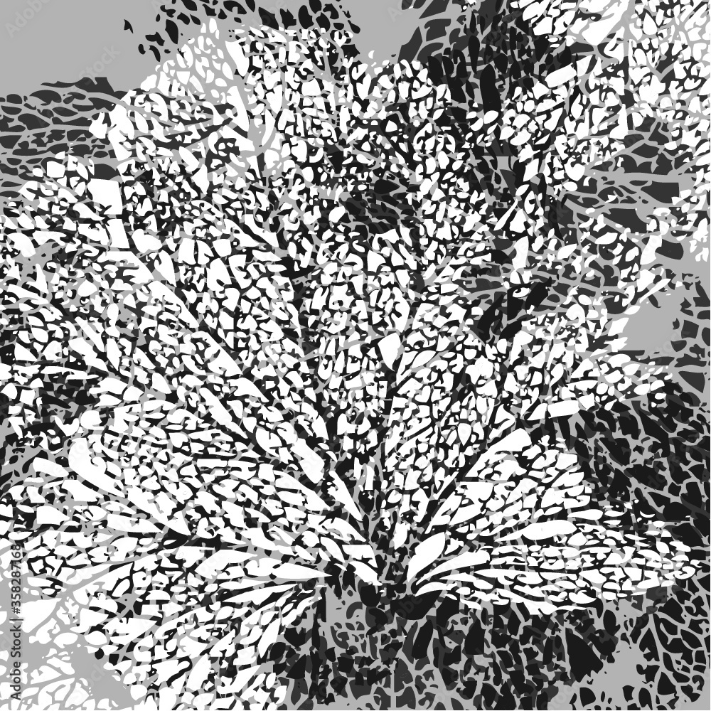 Vector illustration of leaf veins, leaf skeleton. Abstract black & white background. Autumn. Vector illustration of leaf veins, leaf skeleton. Abstract black & white background. Autumn.