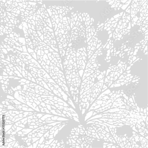 Wallpaper Mural Vector illustration of leaf veins, leaf skeleton. Abstract black & white background. Autumn. Torontodigital.ca