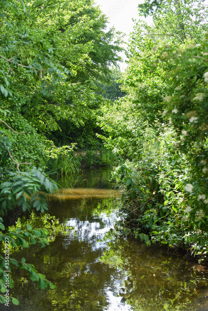 Calm river running through nature reserve in english countryside Calm river running through nature reserve in english countryside