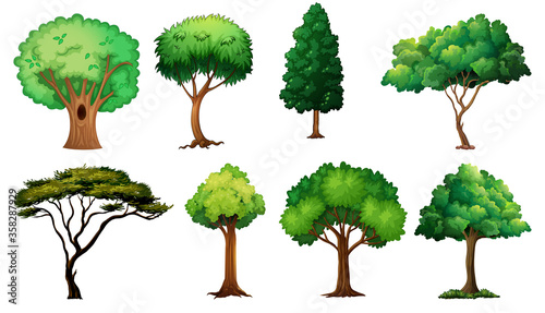 Set of variety plants and trees