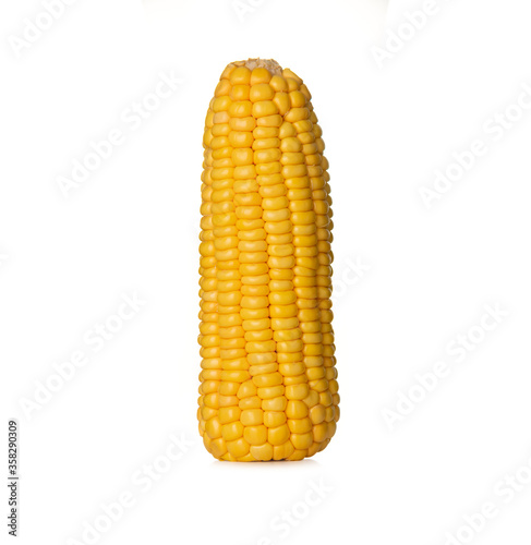 fresh corn on white background