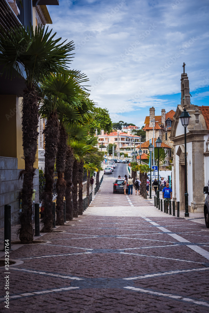 city walk in Lisbon. road with palm trees