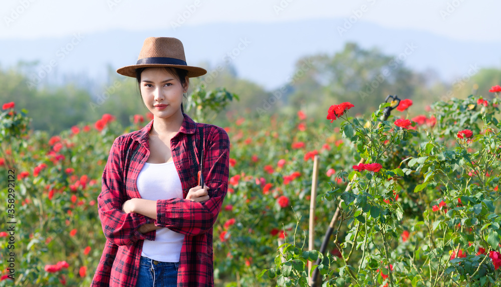 Young woman gathering flowers in garden. Girl smelling and cutting roses off. Gardening concep
