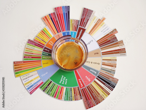 Espresso coffee shot on taster's flavor wheel top view. White background