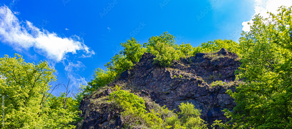 Green grass and moss on a rocks with blue sky Green grass and moss on a rocks with blue sky