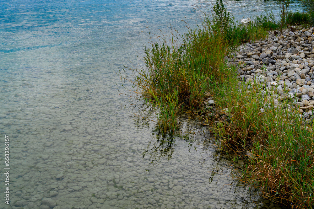 Nature of the Lake Constance (Bodensee) on the Rhine at the foot of the Alps Nature of the Lake Constance (Bodensee) on the Rhine at the foot of the Alps