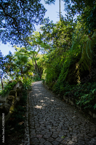 stone narrow path in the woods