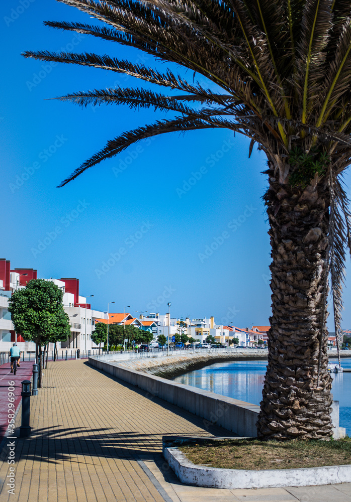 track for jogging by the river and with palm trees. sport. sea coastline
