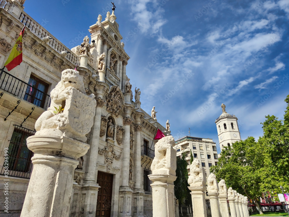 Columnas con leones , fachada Universidad y torre de la Catedral de Valladolid