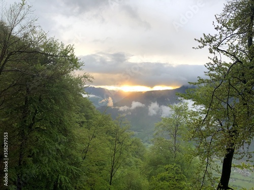 sunset in the forest