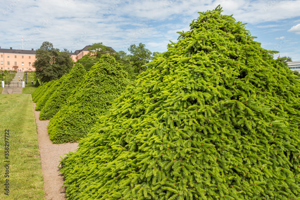 Uppsala, Sweden - 16 June 2019: Beautiful green park with green pyramids of trees and a fountain, in front of the building Linneanum orangery. One of the oldest botanical gardens in the world. Uppsala, Sweden - 16 June 2019: Beautiful green park with green pyramids of trees and a fountain, in front of the building Linneanum orangery. One of the oldest botanical gardens in the world.