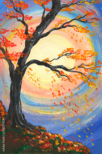 Colorful Autumn Against the Background of the Sun