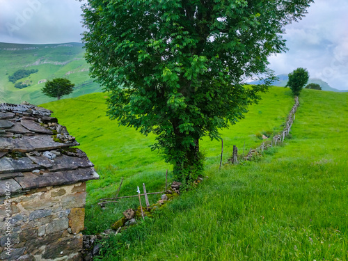 Spring landscape of pasiegas cabins and meadows in the Miera Valley in the Autonomous Community of Cantabria. Spain  Europe