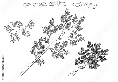 Green vegetables.  Black silhouette dill close-up. Vector illustration.