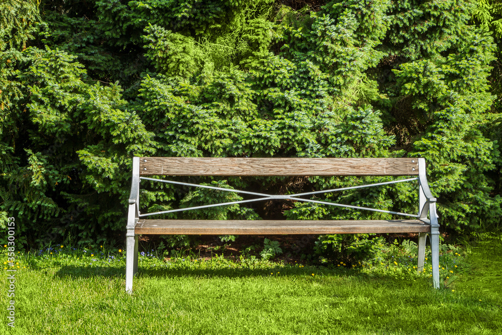 Wooden bench in the city green park. A lonely bench among the trees. Wooden bench in the city green park. A lonely bench among the trees.