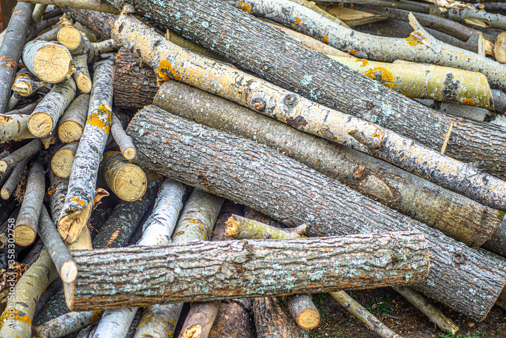 Firewood from various types of wood is stacked in a woodpile