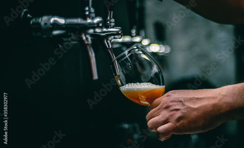 Tableau sur toile bartender hand at beer tap pouring a draught beer in glass serving in a restaura