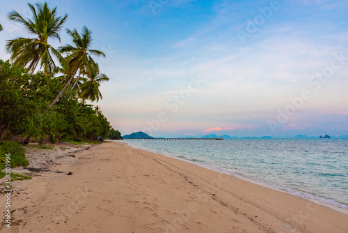 beach on Koh Samui in Thailand, paradise, sunny beach, coconuts and palm trees, sunbathing and swimming in the sea, blue ocean and sky, travel to the resort, relaxation and enjoyment