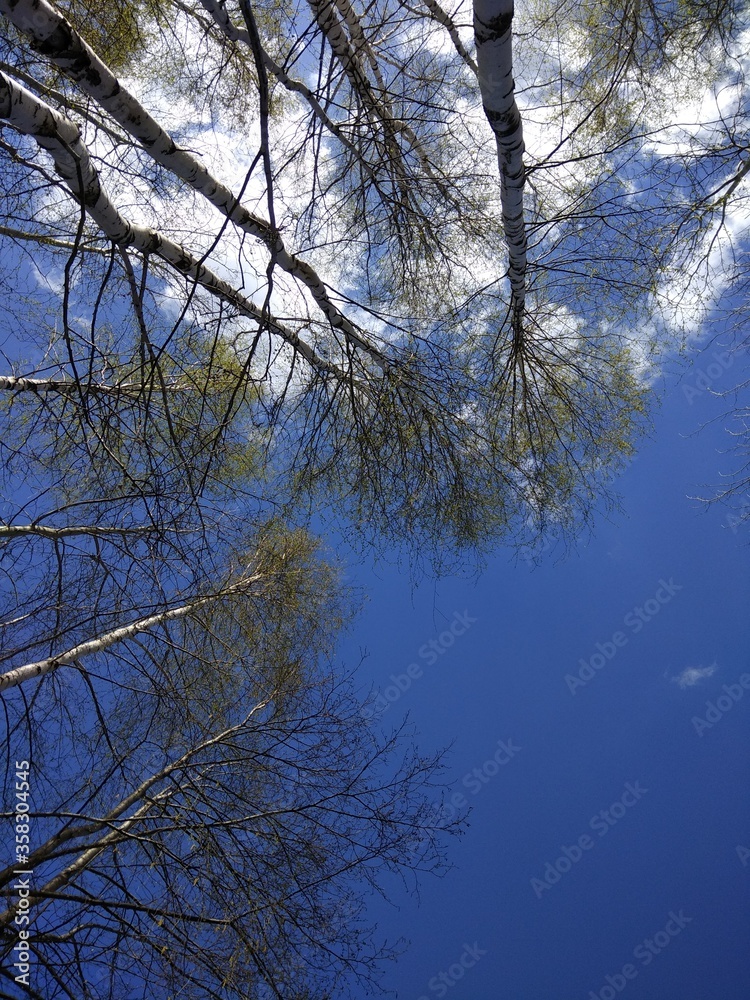 reflection in water reflection in water