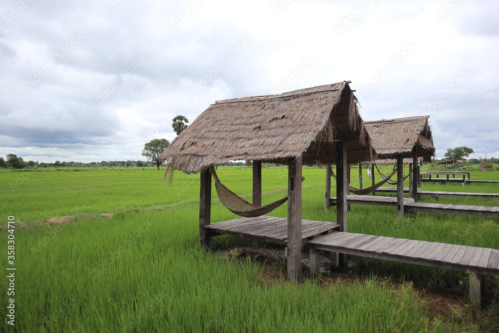 wooden house in the countryside wooden house in the countryside