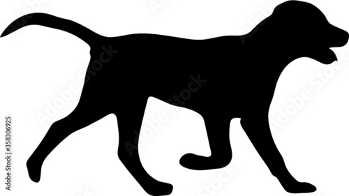 dog vector icon on white background