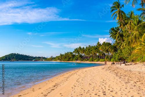 beach on Koh Samui in Thailand  paradise  sunny beach  coconuts and palm trees  sunbathing and swimming in the sea  blue ocean and sky  travel to the resort  relaxation and enjoyment